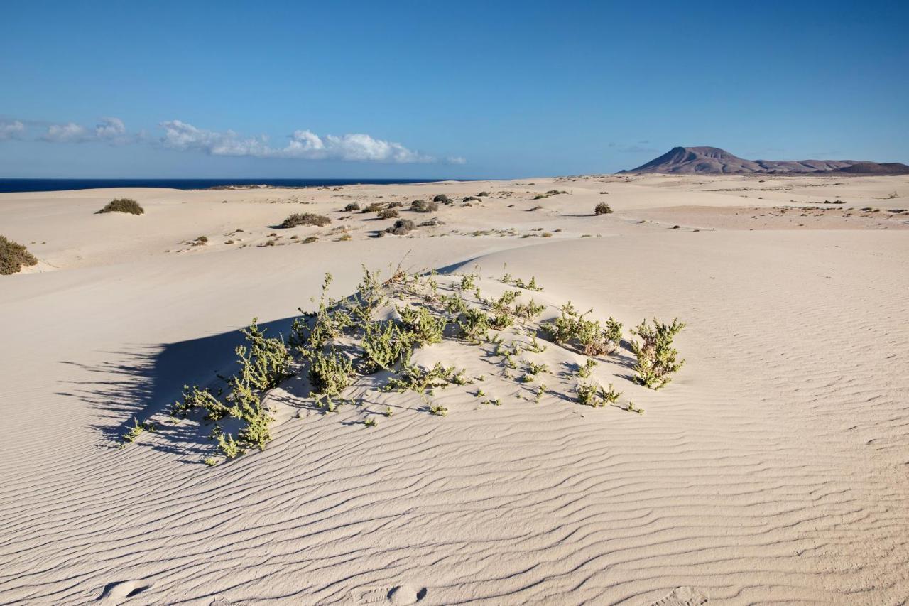 Appartement Fuentes Corralejo